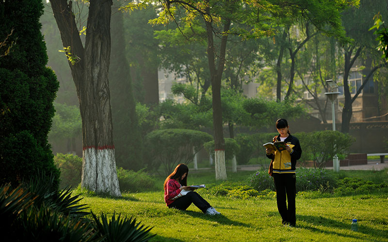 河北大学校园风景