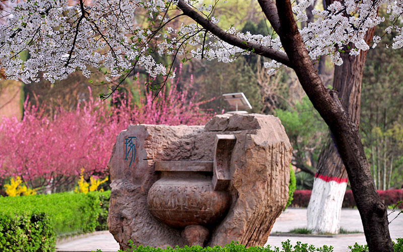 河北大学校园风景