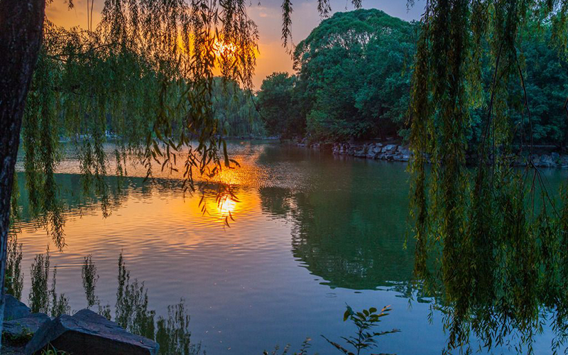 北京大学校园风景