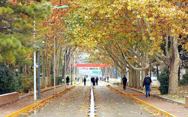 北京师范大学校园风景