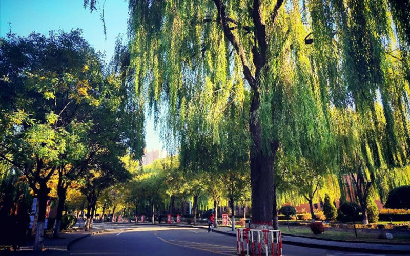 山西大学校园风景