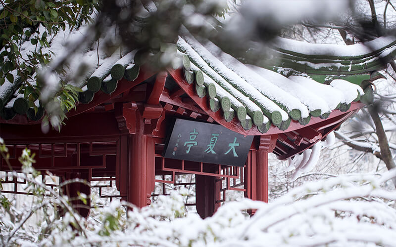 华东师范大学校园风景