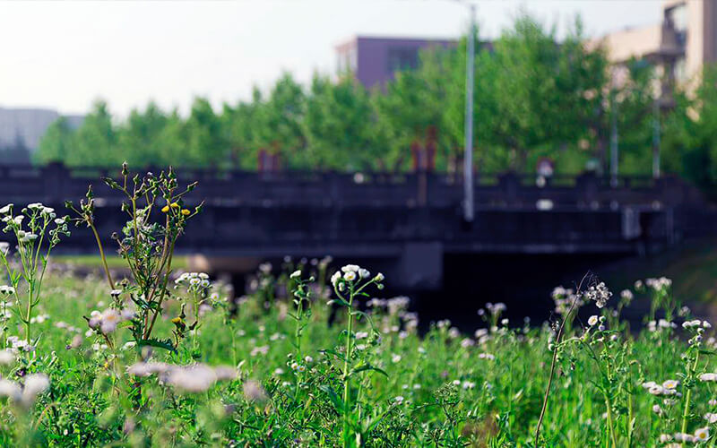 华东师范大学校园风景