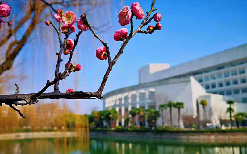 上海大学校园风景