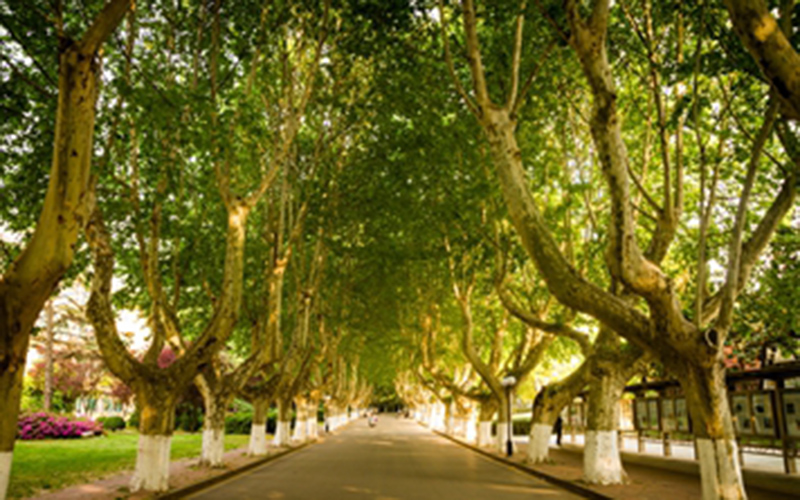 河海大学校园风景